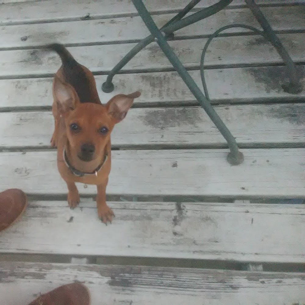 Meet your Posher, Brandy